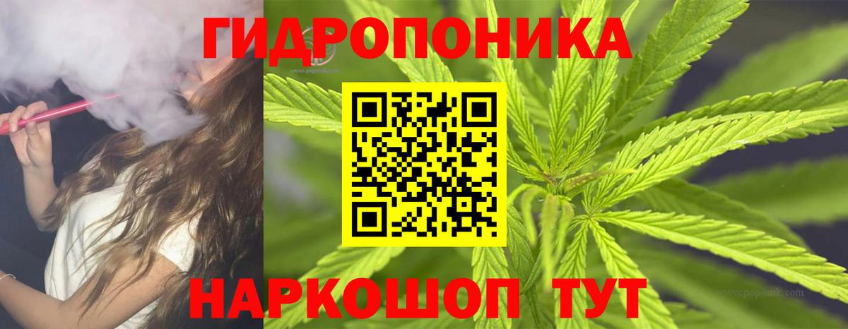 Шишки марихуана планчик Темрюк
